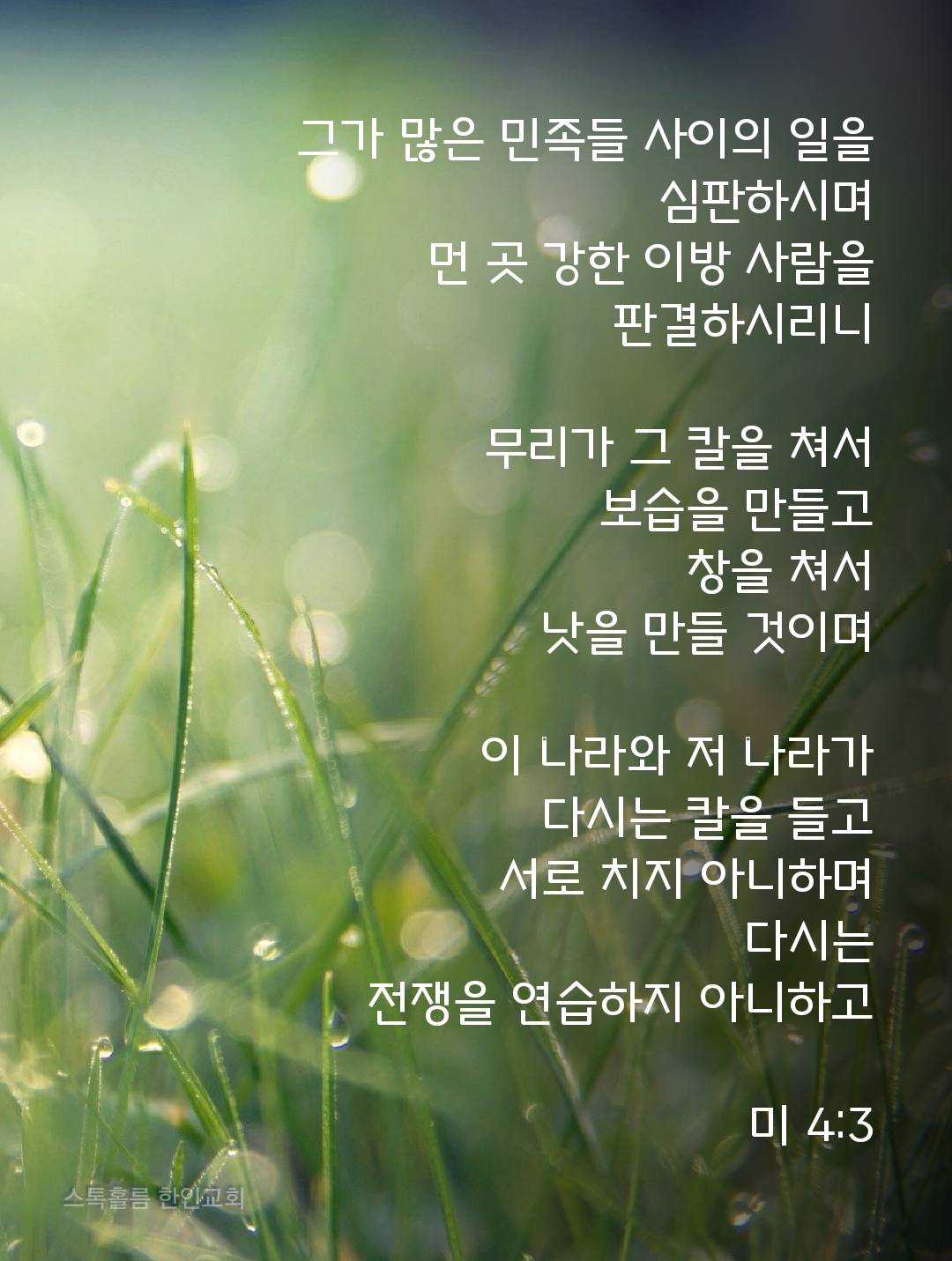 해리슨은 자신과 혼다의 섬의 섬을 끝내고 승리 가뭄을 겪습니다.